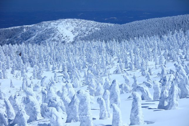 限定開催の蔵王樹氷のライトアップと白濁の蔵王温泉おすすめ 美肌温泉手帖