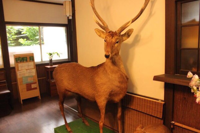 温泉ソムリエ太鼓判の かぶと湯温泉山水楼 へ行ってみました 山梨県 美肌温泉手帖